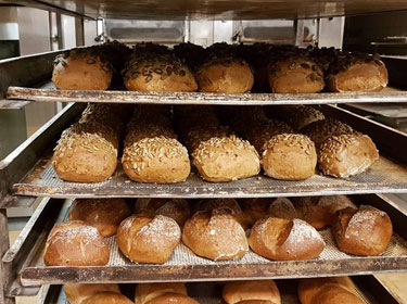 Brot2 Brot2
